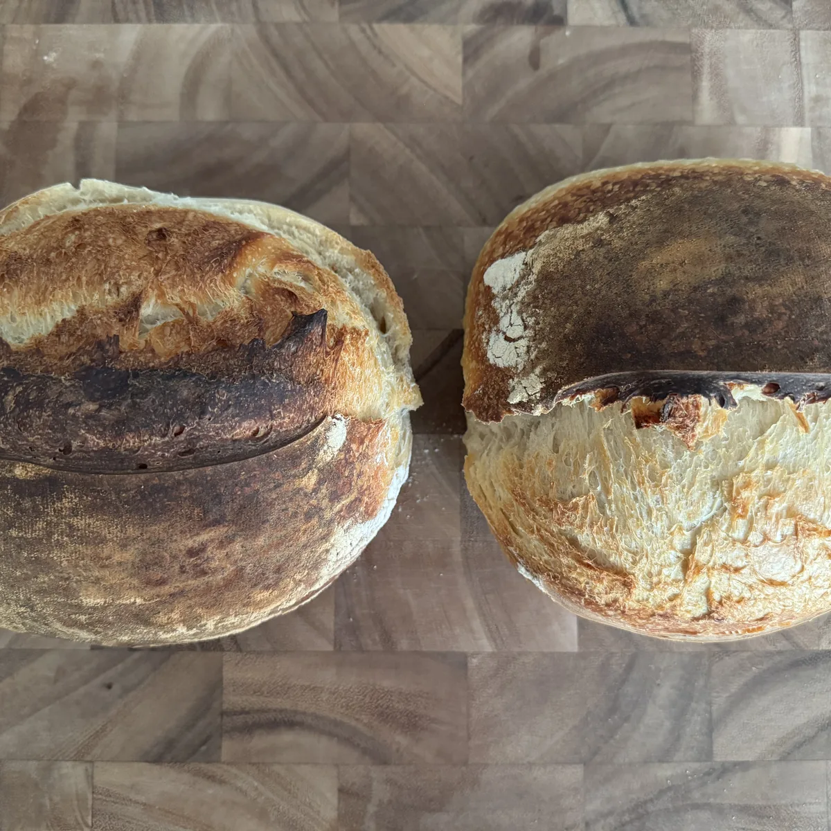 Two Classic loaves on a wooden end-grain board, one with a dark blistered ear