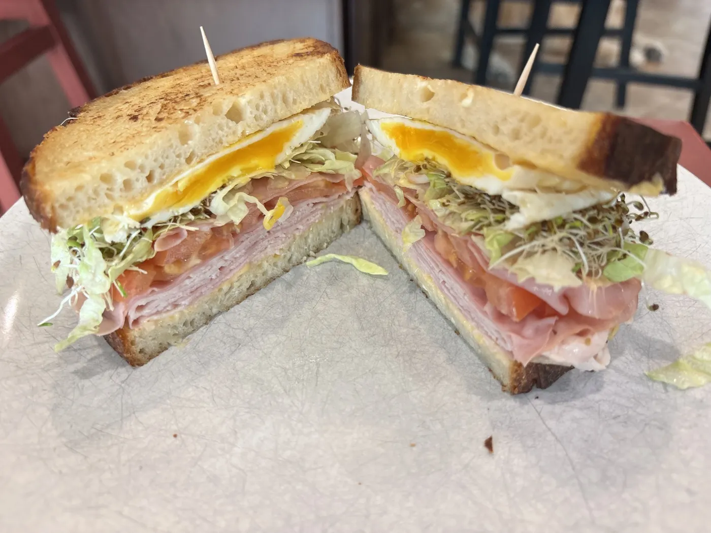 A toasted sourdough sandwich cut in half, filled with a fried egg, ham, tomato, lettuce and sprouts.